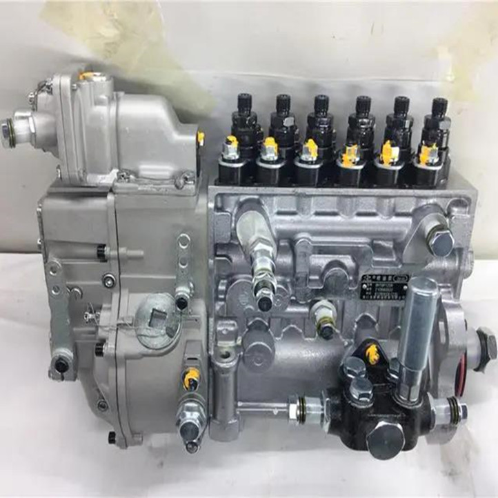 Spare Parts Fuel Injection Pump Vg1246080097